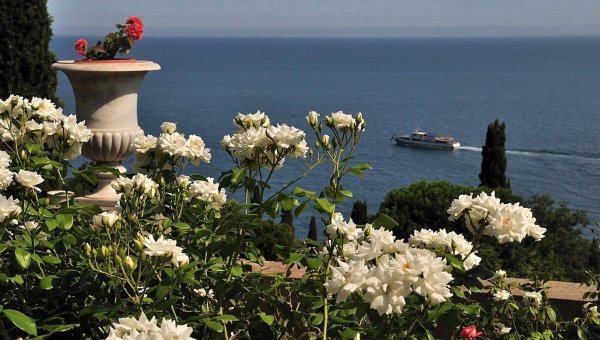 глициния ялта воронцовский дворец