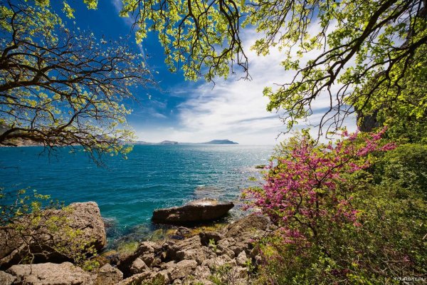 Крымская весна