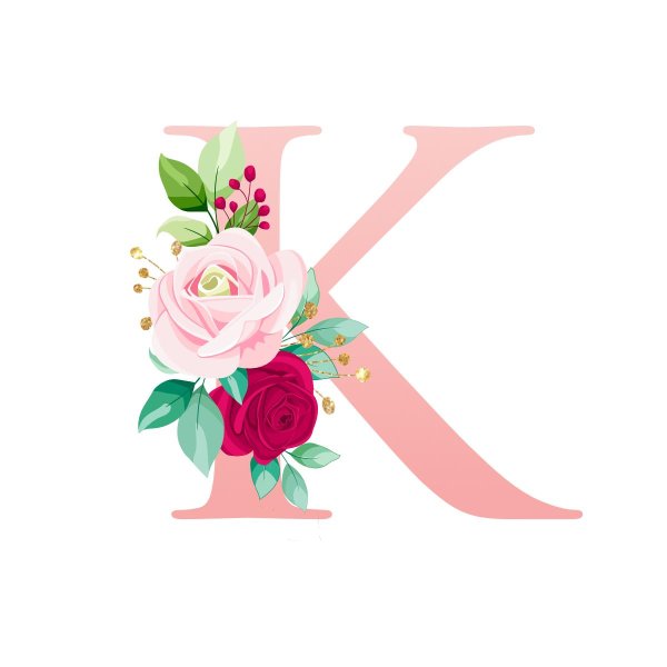 логотип цветка