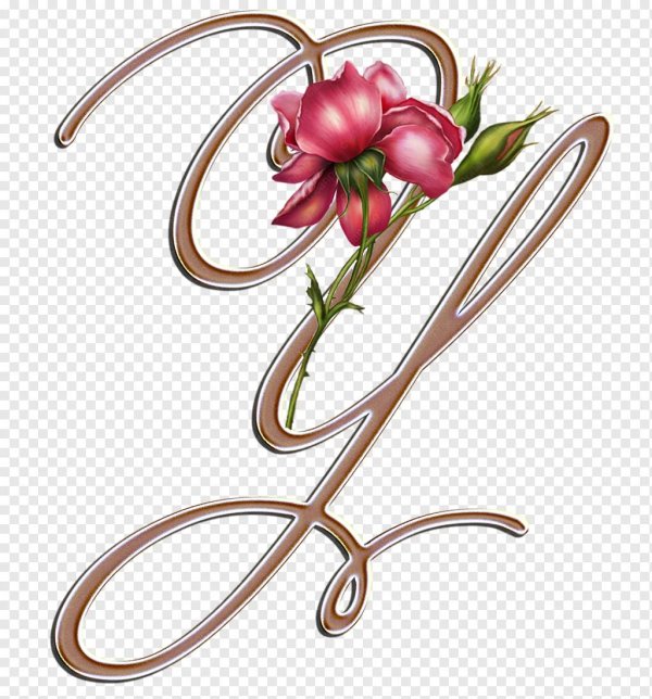 красивая буква