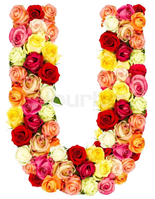буква с цветами