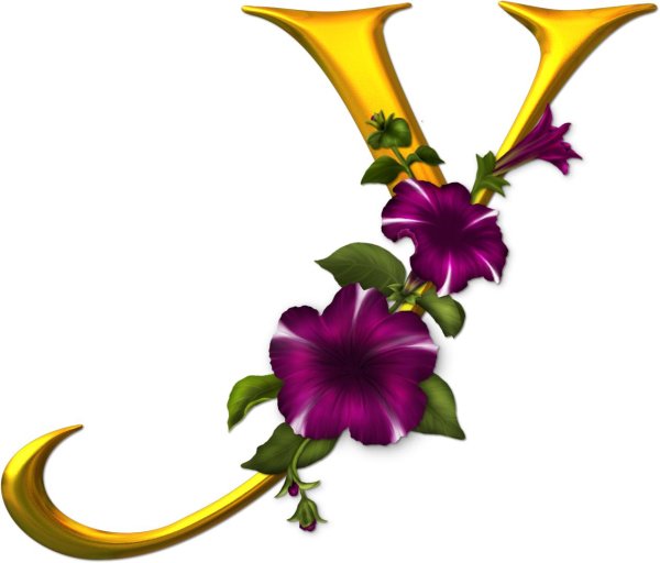 красивая буква для оформления