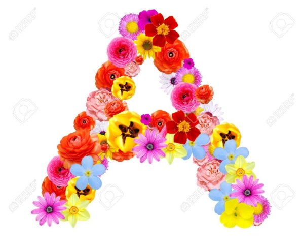 буквы из цветов
