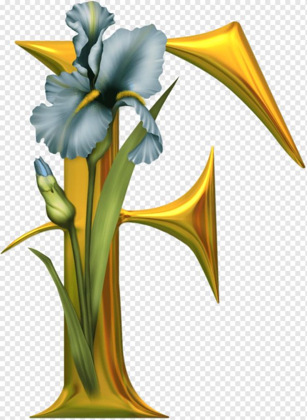 цветочный алфавит