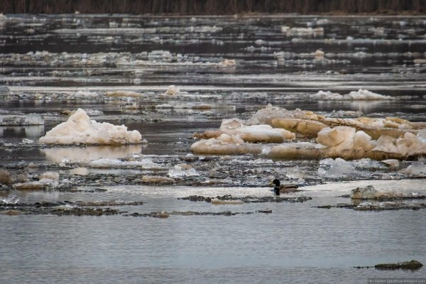 ледоход на речке