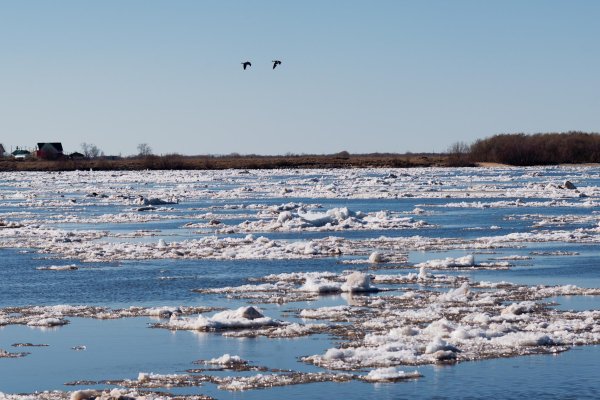 ледоход обь