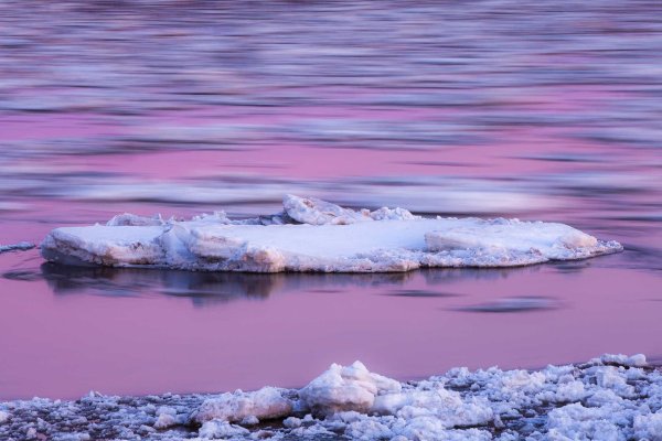 розовое озеро яровое