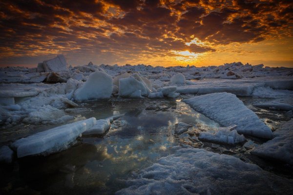 белое море северный ледовитый океан
