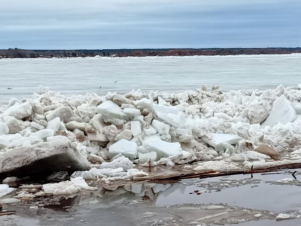 ледоход амур хабаровск