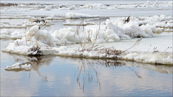 ледоход явление