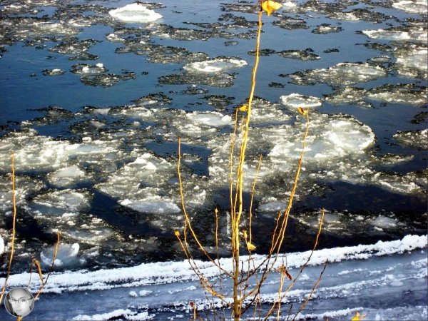 весенний ледоход