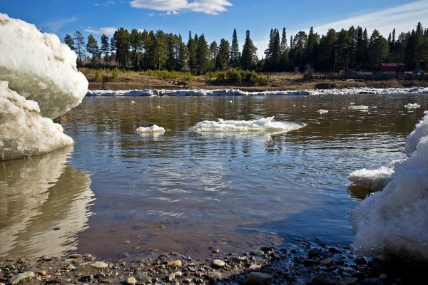 река весной