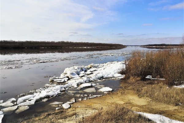 лед тронулся