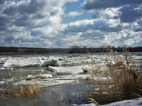 камское устье ледоход