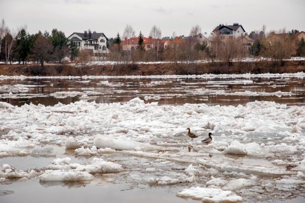 river ice break up