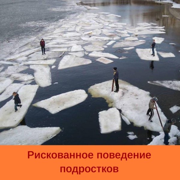 катается на льдине