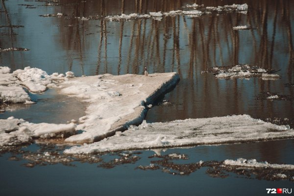 лед тронулся