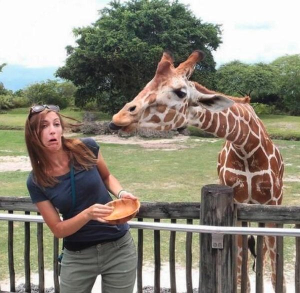 интересное и прикольное