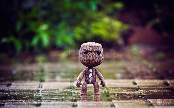 литл биг плэнет