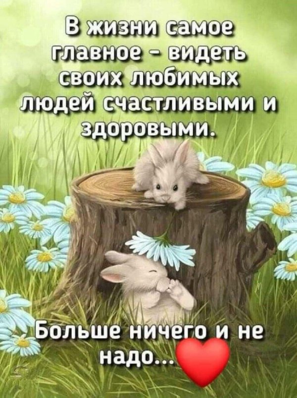 счастье и радости