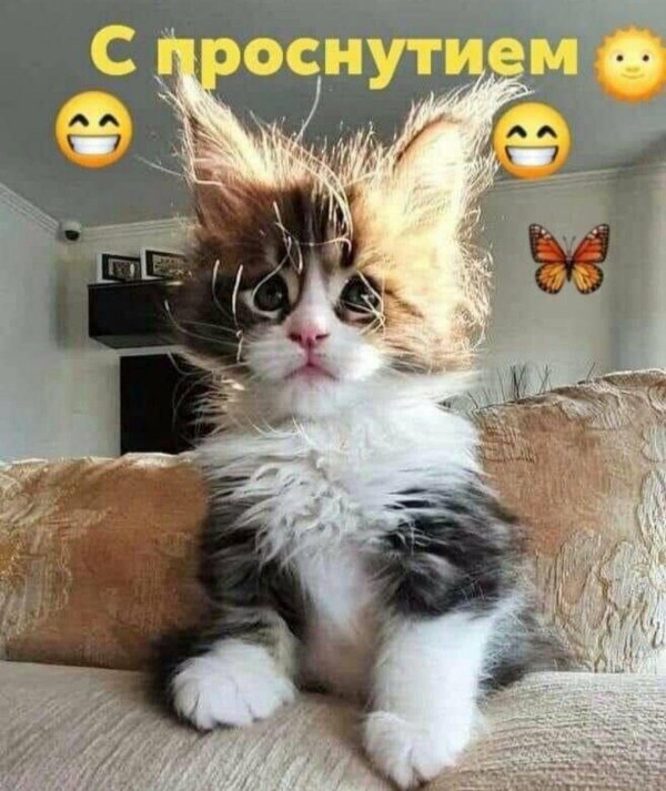 проснулись улыбнулись потянулись