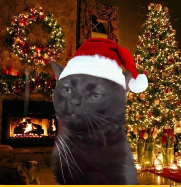 кот новогодний