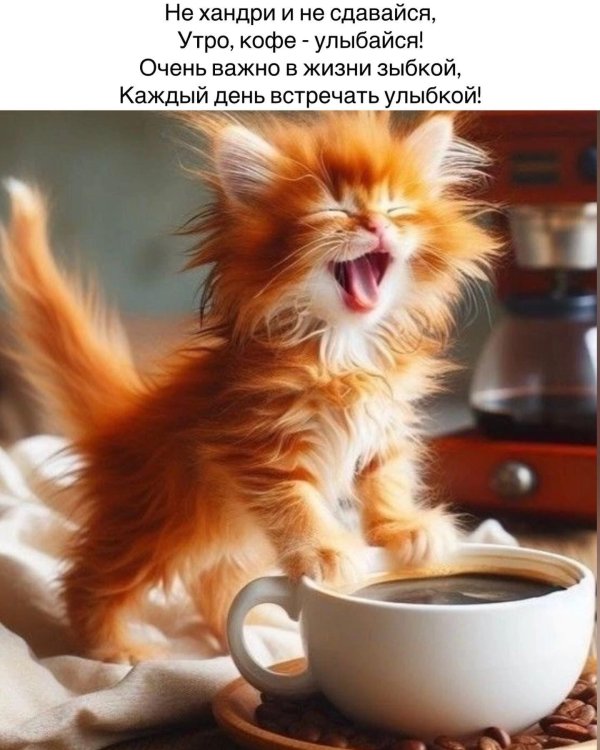 добрейшего утречка