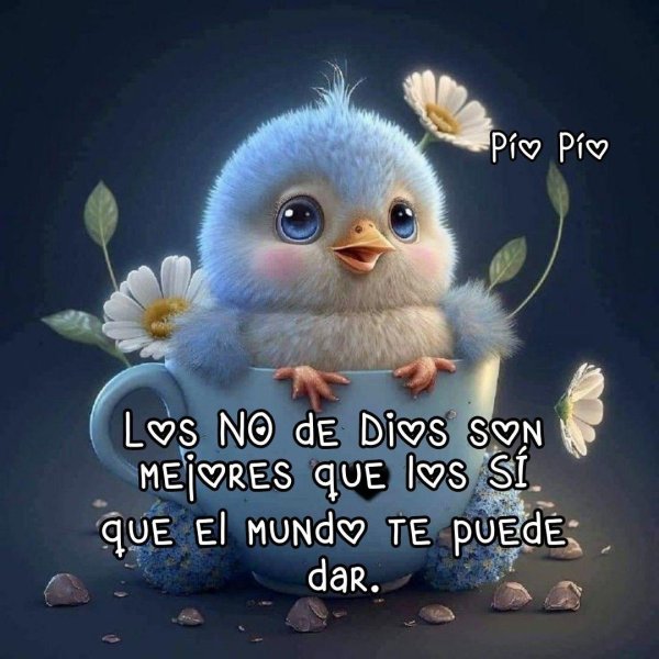 милая птичка