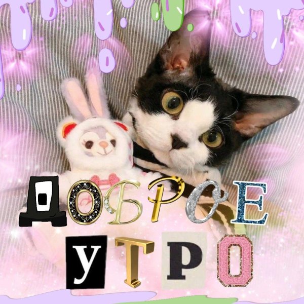 доброго утра милая