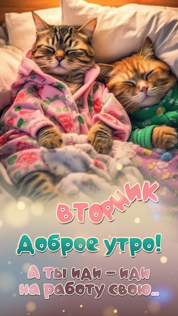 Новые прикольные