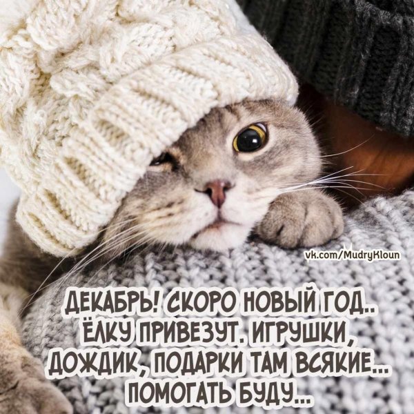 скоро декабрь