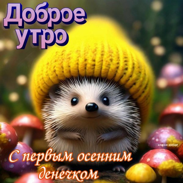 осенний ёжик