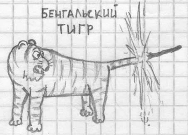 тигр карандашом