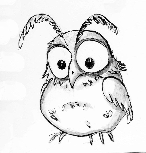 зарисовка совы