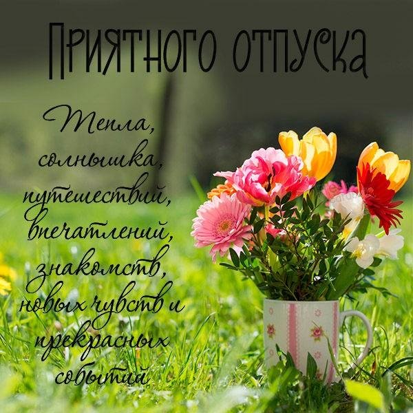 летние цветы