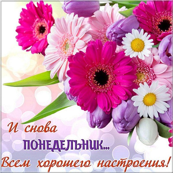 легкого понедельника