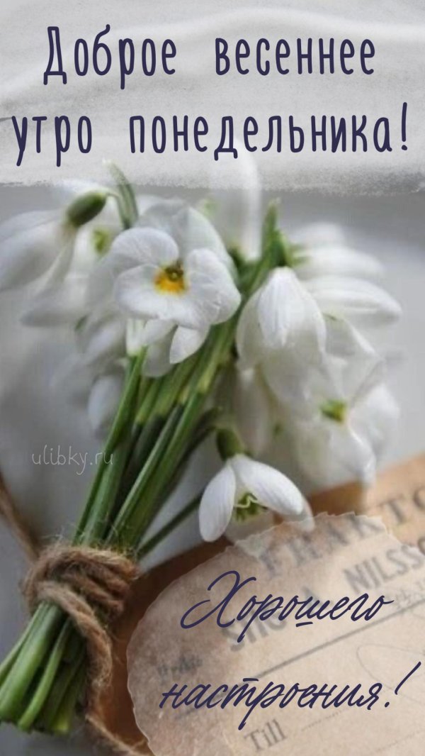 доброго весеннего утра понедельника