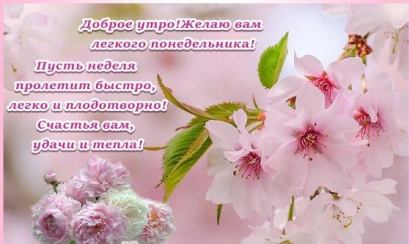 пожелания доброго понедельника