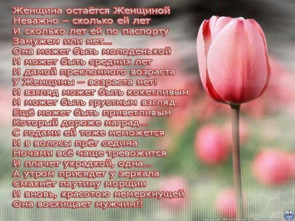 стих про тюльпан для детей