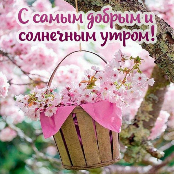 доброе утро красивые весенние