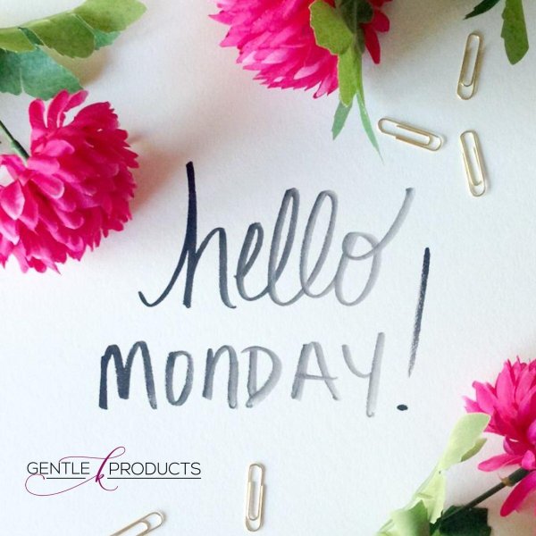 hello monday