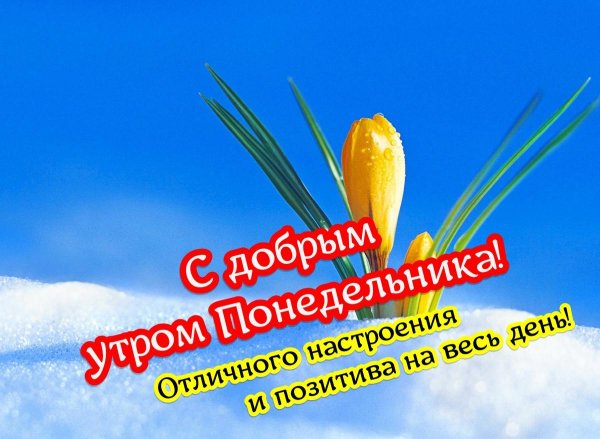 добрейшего понедельника