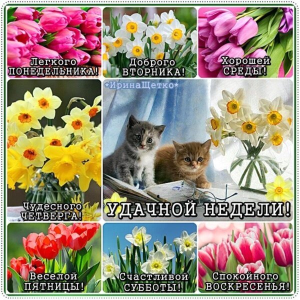 хорошей весенней среды