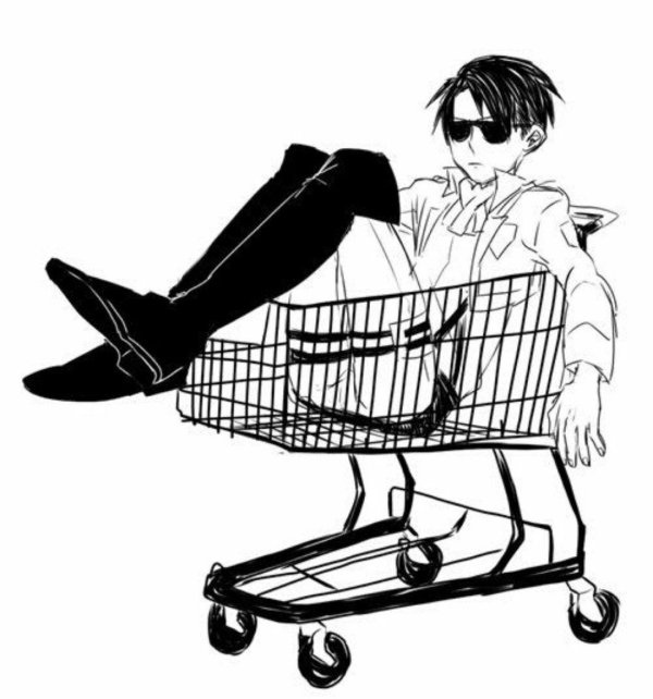 леви акерман