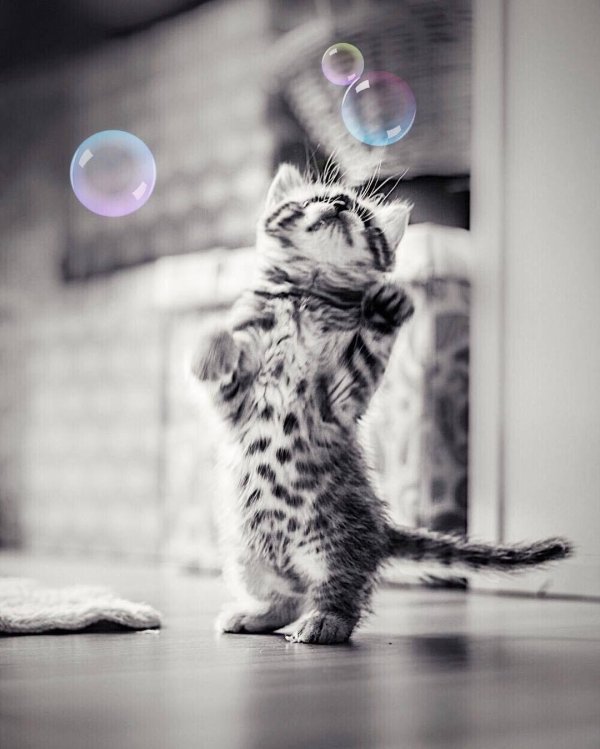 Пятница весна