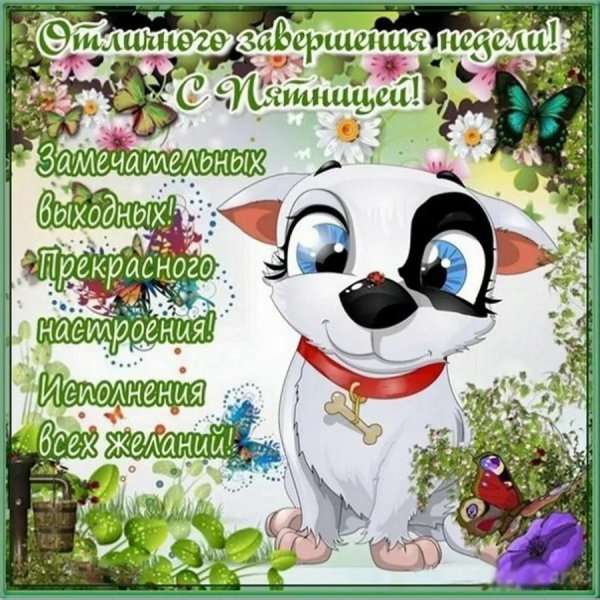 открытки с добрым утром прикольные