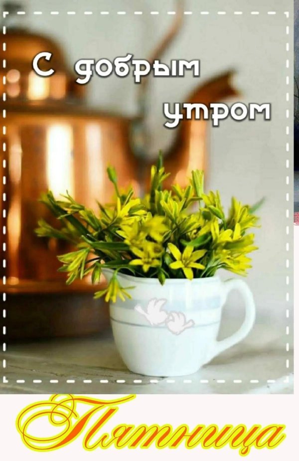 доброе пятничное утро весеннее