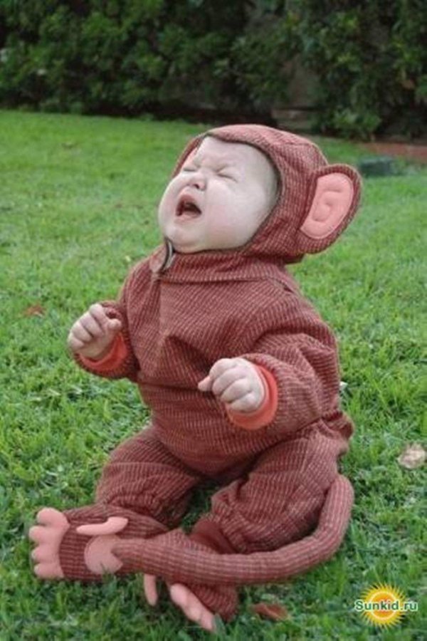 малыши обезьянки