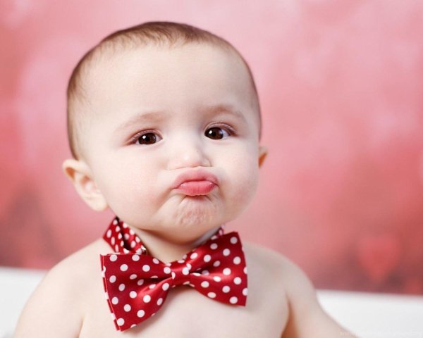 бабочка красная