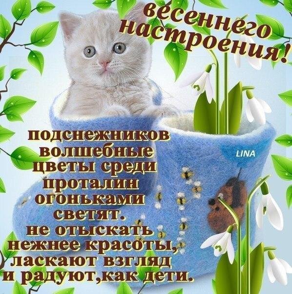 открытка весенняя